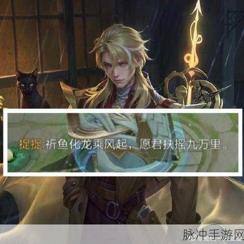 王者荣耀海诺时空谍影新皮肤震撼登场，深度揭秘特工的神秘面纱