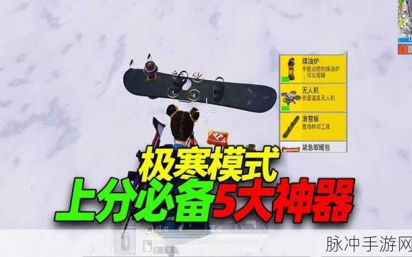 和平精英极寒模式取暖物资全攻略