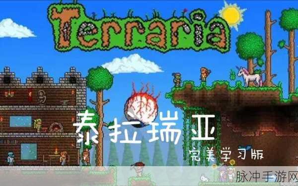 泰拉瑞亚国际服联机版下载，探索端游改编的沙盒手游新世界