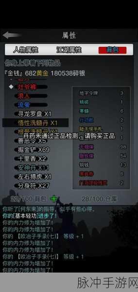 放置江湖，洗髓丹的奥秘与魅力深度解析