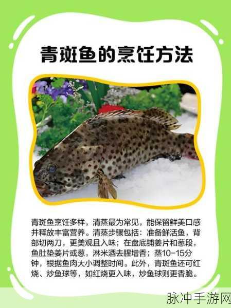创造与魔法青斑鱼食谱及用途全面解析