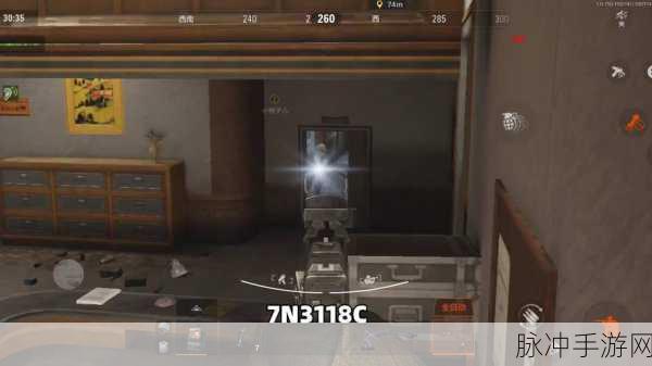 暗区突围手游攻略，详解子弹等级查看方法与实战应用