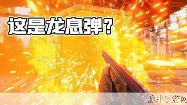 暗区突围手游攻略，详解子弹等级查看方法与实战应用