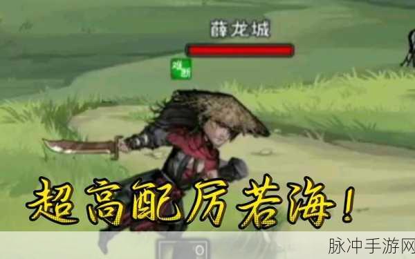 烟雨江湖薛龙城角色深度解析，获得方法与面板介绍