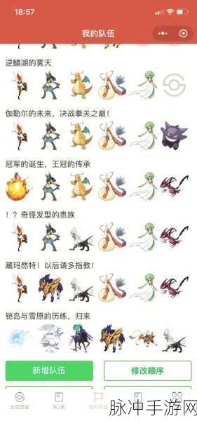 口袋妖怪漆黑的魅影，全面解析存档修改技巧