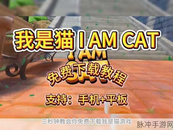 My Cat游戏下载，沉浸式猫咪主题养成模拟类游戏全攻略