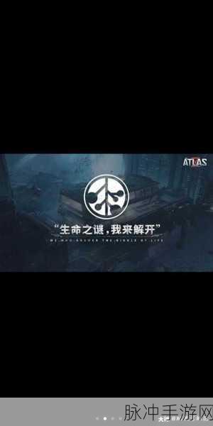 世界之外代号可重塑，深度解析可更改代号系统的实战策略与未来展望