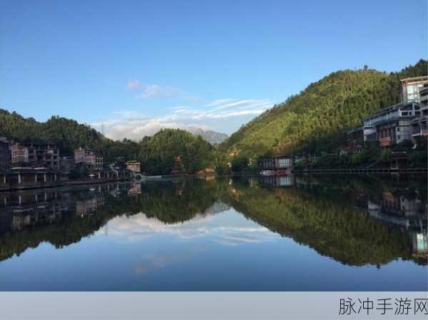 冰原守卫者晨曦草获取全攻略及龙蛋孵化秘密揭秘