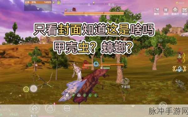 妄想山海肥遗深度揭秘，双人坐骑之谜