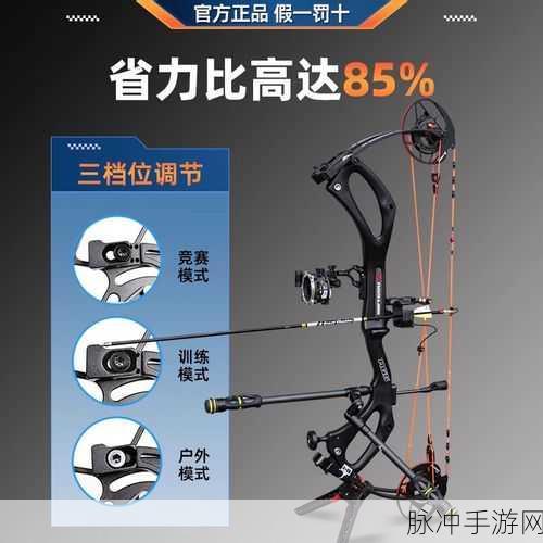 狩猎与寻找安卓版下载，解锁休闲竞技新体验