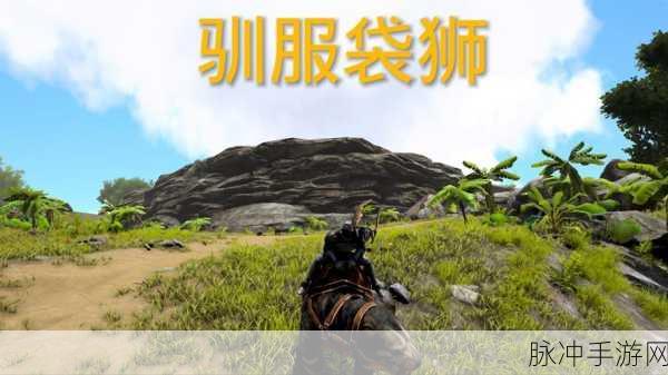 方舟手游深度攻略，驯服与生存的鳄鱼伙伴全解析