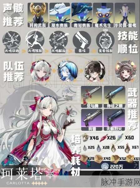 鸣潮炽霞声骸搭配全攻略，深度探索组合策略与技巧解析