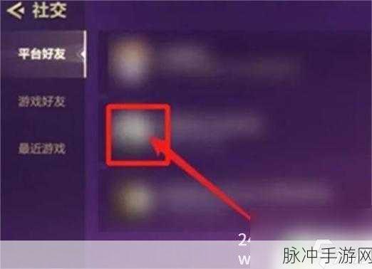 和平精英深度攻略，如何高效查看并分析好友战绩