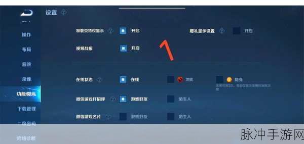王者荣耀隐身登录全解析，游戏状态与下线时间显示揭秘
