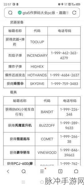 高效掌握GTA5秘籍，详细步骤带你轻松解锁游戏作弊码