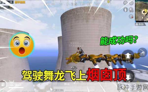 和平精英，揭秘舞龙载具的获取方法与地点