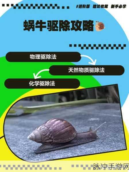 揭秘最强蜗牛壁虎刷新机制，高效捕捉策略全解析