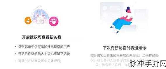 快手手游社交新攻略，如何查看谁访问了你的主页及访客数量