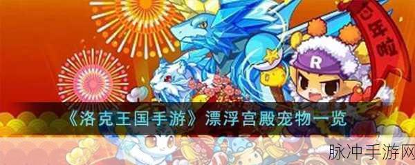 洛克王国手游深度攻略，揭秘漂浮宫殿的奇幻之旅