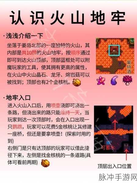 星露谷物语火山晶石获取方法与步骤全解析