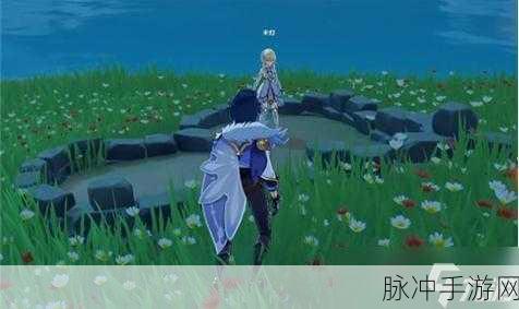 原神手游攻略，如何有效解决无小内无爱心问题