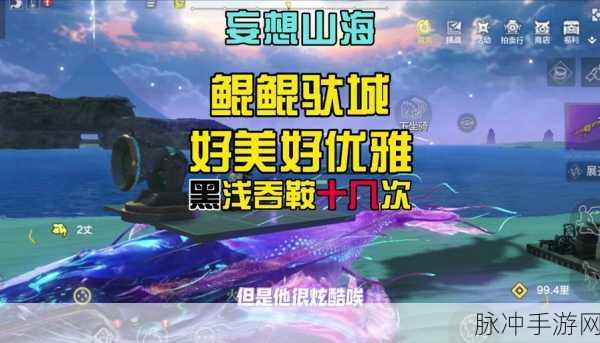 妄想山海鲲第二次进化全攻略，解锁云端岳云鲲的进化之旅