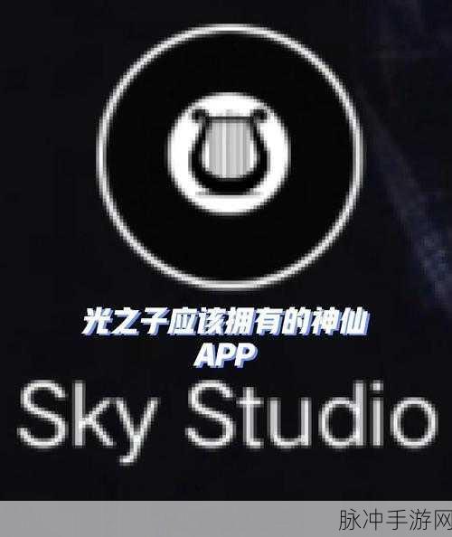 Sky光遇鼓怎么样，新乐器鼓特质属性深度解析