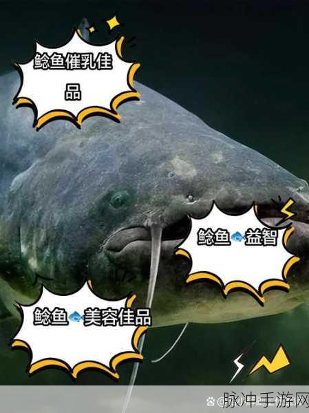 魔兽世界石鳞鲶鱼的神秘用途揭秘，你真的了解吗？