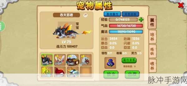 造梦西游OL宠物进化新篇章——宠物75级后的超进化攻略全面揭秘