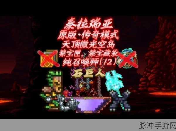 泰拉瑞亚宝藏袋获取途径详解，探索与收集的终极指南