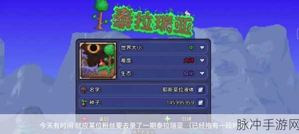 泰拉瑞亚宝藏袋获取途径详解，探索与收集的终极指南