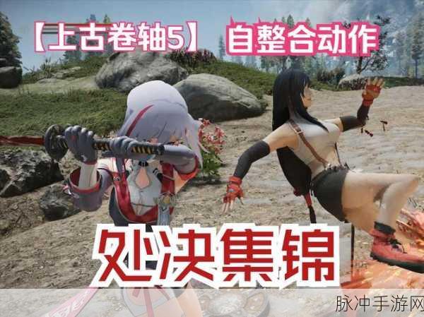 上古卷轴5深度攻略，红卫女支线分析——是否携手共度难关的双方考量
