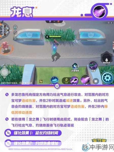 宝可梦大集结，多龙巴鲁托高效持有物搭配与战术深度解析