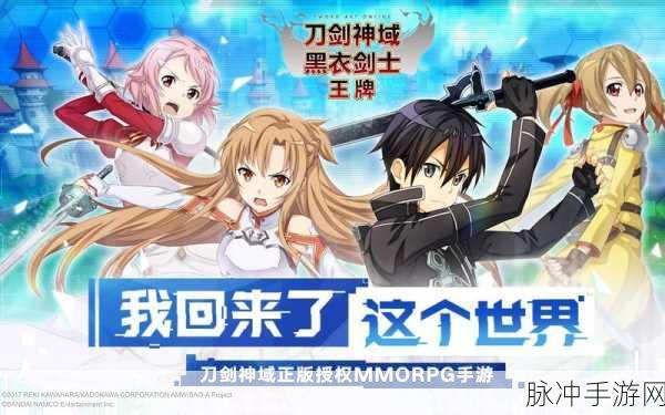 刀剑神域黑衣剑士:王牌直剑核心选择深度攻略