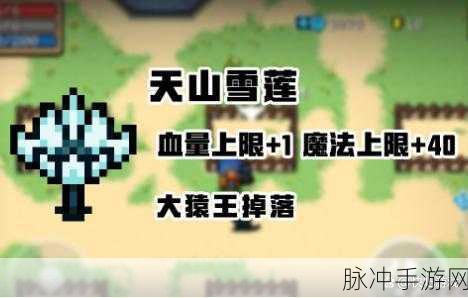 元气骑士，天山雪莲的神秘功效揭秘