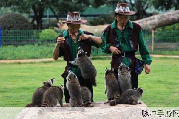 美国ZOOZOON：探索美国ZOOZOON：一个充满奇趣与冒险的动物世界之旅