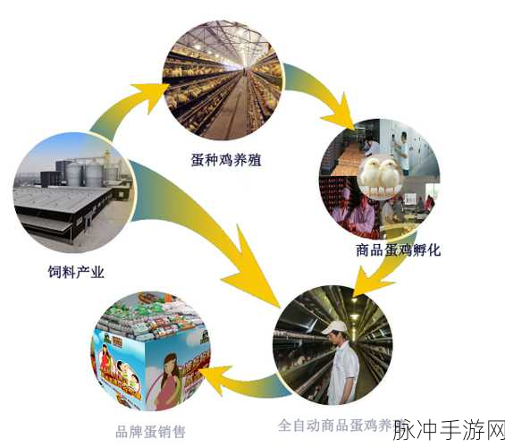 51国偷自产一区二区三区的来源：探索51个国家自给自足的产业链与经济发展模式