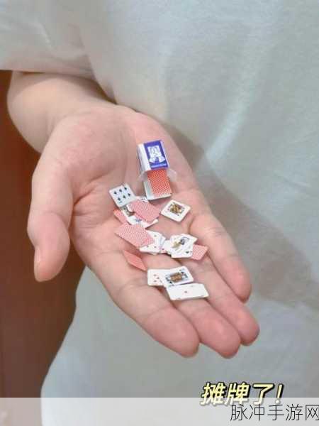 打扑克不益被子：打扑克时的注意事项与策略分享，助你提升技巧！
