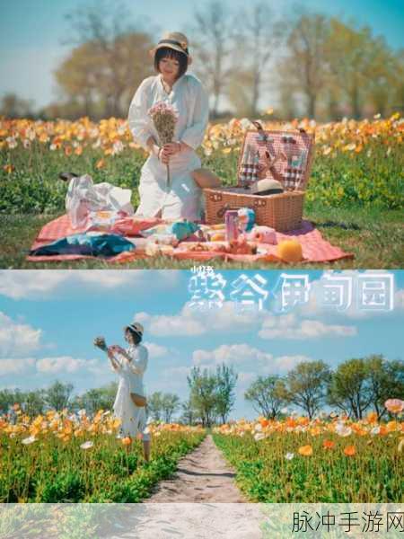 依甸园2025入口：探索依甸园2025新入口，开启未来无限可能之旅