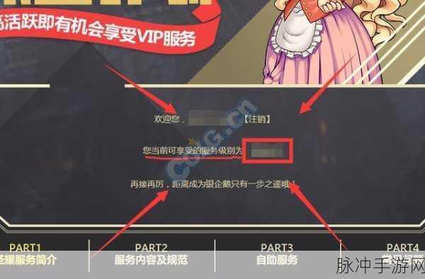 DNF圣耀服务，全面攻略——如何提升服务等级深度解析