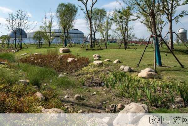 XGUaTV黑料社区：探索XGUaTV黑料社区的秘密与精彩世界，尽在其中！