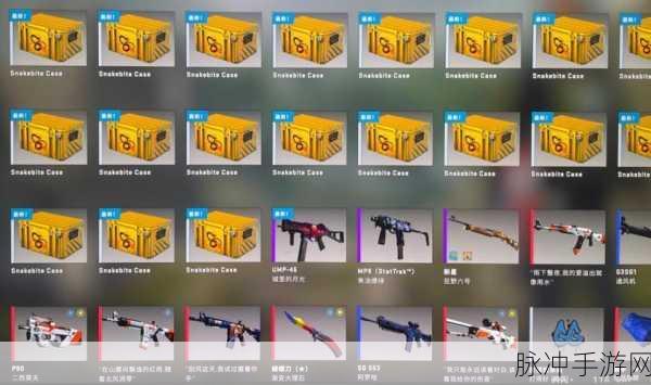 csgo一个箱子一个钥匙多少钱：CSGO游戏中一个箱子与钥匙的价格究竟是多少？