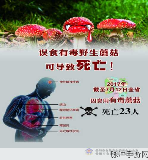 蘑菇黑料爆料：揭露蘑菇黑料的真相，探寻背后的隐秘故事