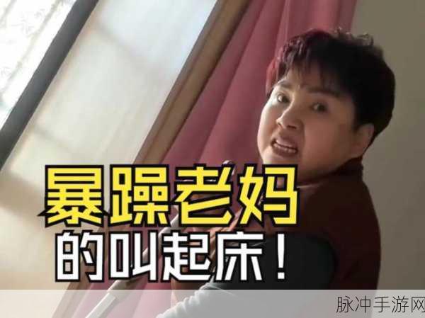 暴躁老阿姨最强武器推荐：暴躁老阿姨的绝对必备武器推荐，助你轻松应对烦人事