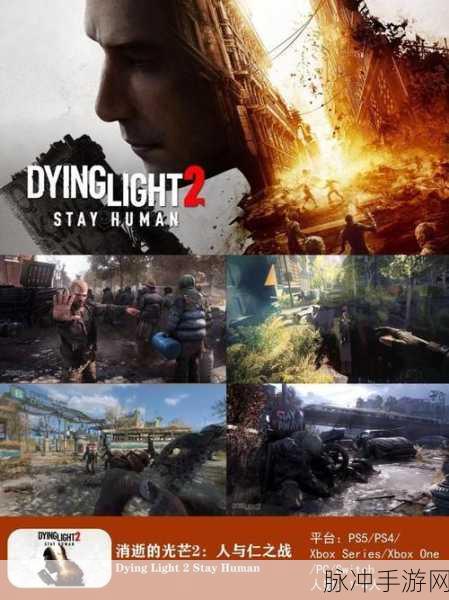 我爱搞.52G.APP：探索无限乐趣，尽在我爱搞.52G.APP平台