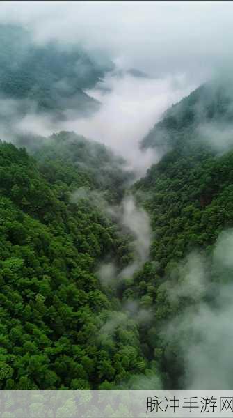 黄色软件无限：探索无尽可能：黄色软件的无限潜力与应用领域