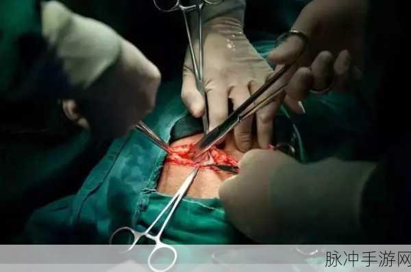 二人生孩子全程不盖：带你揭秘二人生孩子的全过程，细节全公开！