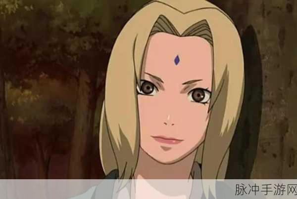 纲手耐力测试：“全方位评估拓展纲手的耐力极限测试方案”