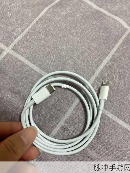 数据线抽打女生：不当行为引发争议：男子用数据线抽打女生事件回顾与反思