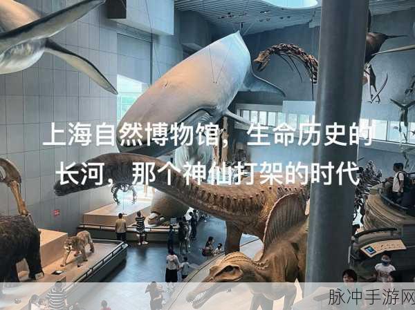 10101002：探索数字世界中的奇妙奥秘与创新应用